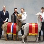 2023 Alpacashow Deurne_champions_web