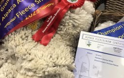 Grand Champion Fleeces 2023