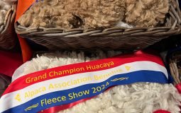 2024 Fleeceshow Champions Lights And Grand And Reserve Champion