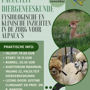 UGENT Flyer