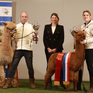 Champions Tolbert 2026